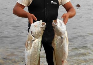 Mooi vangs by Uilenkraalsmond